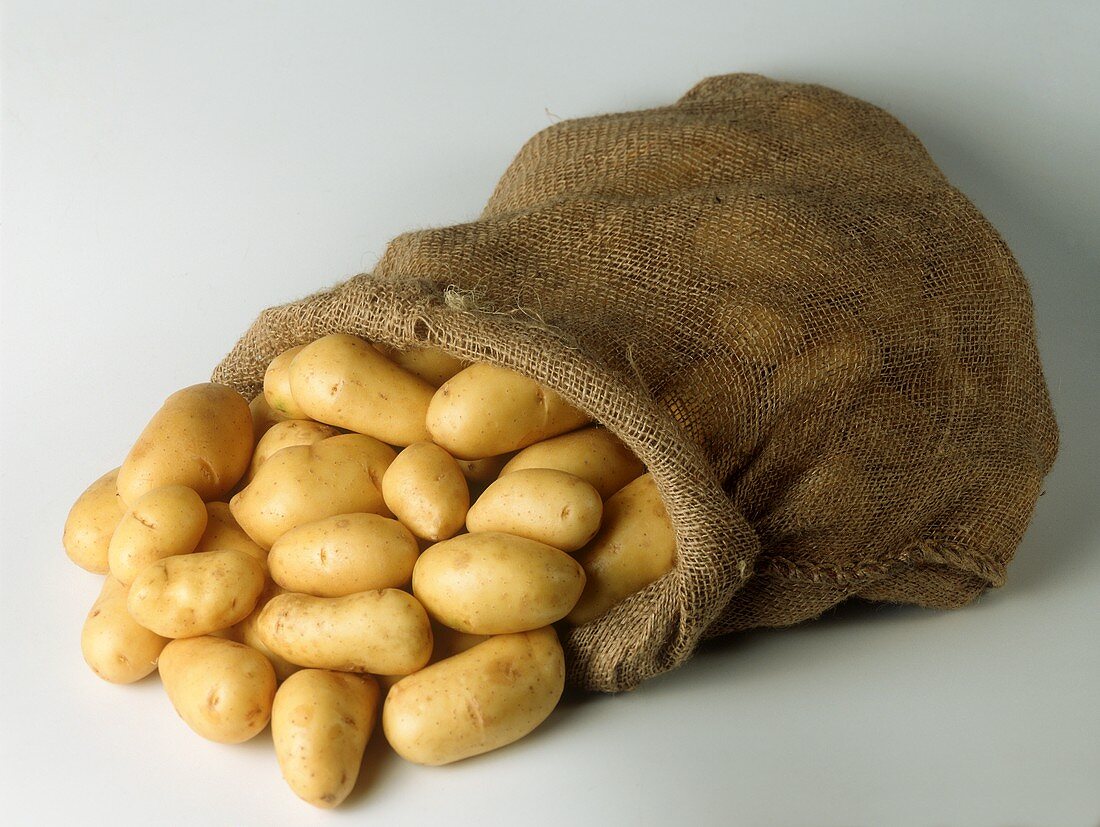 Jute sack of potatoes