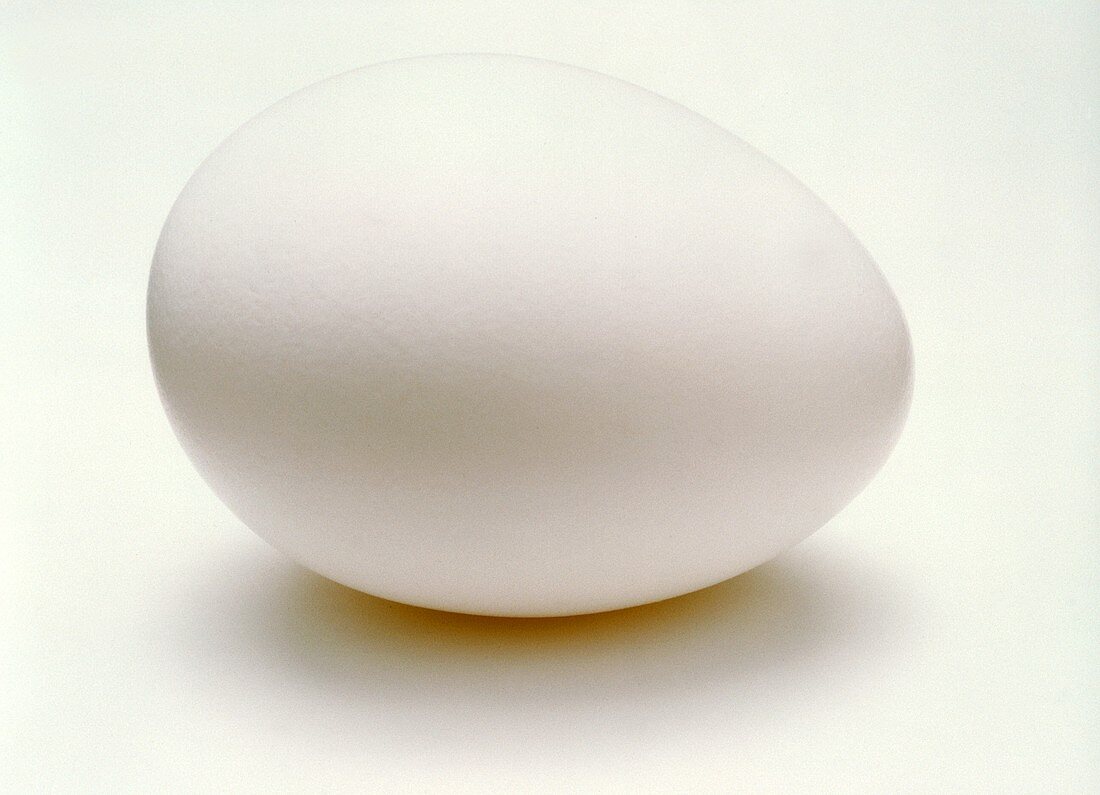 Ein weißes Ei