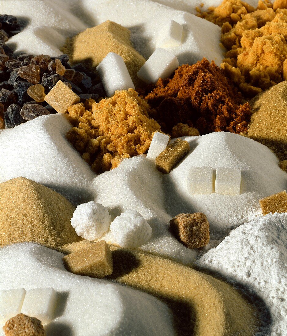 Sugar landscape (still life with different types of sugar)