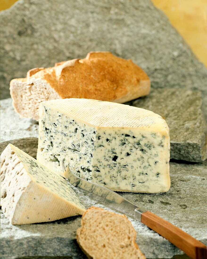 Bleu d'Auvergne (Blauschimmelkäse, Auvergne, Frankreich)