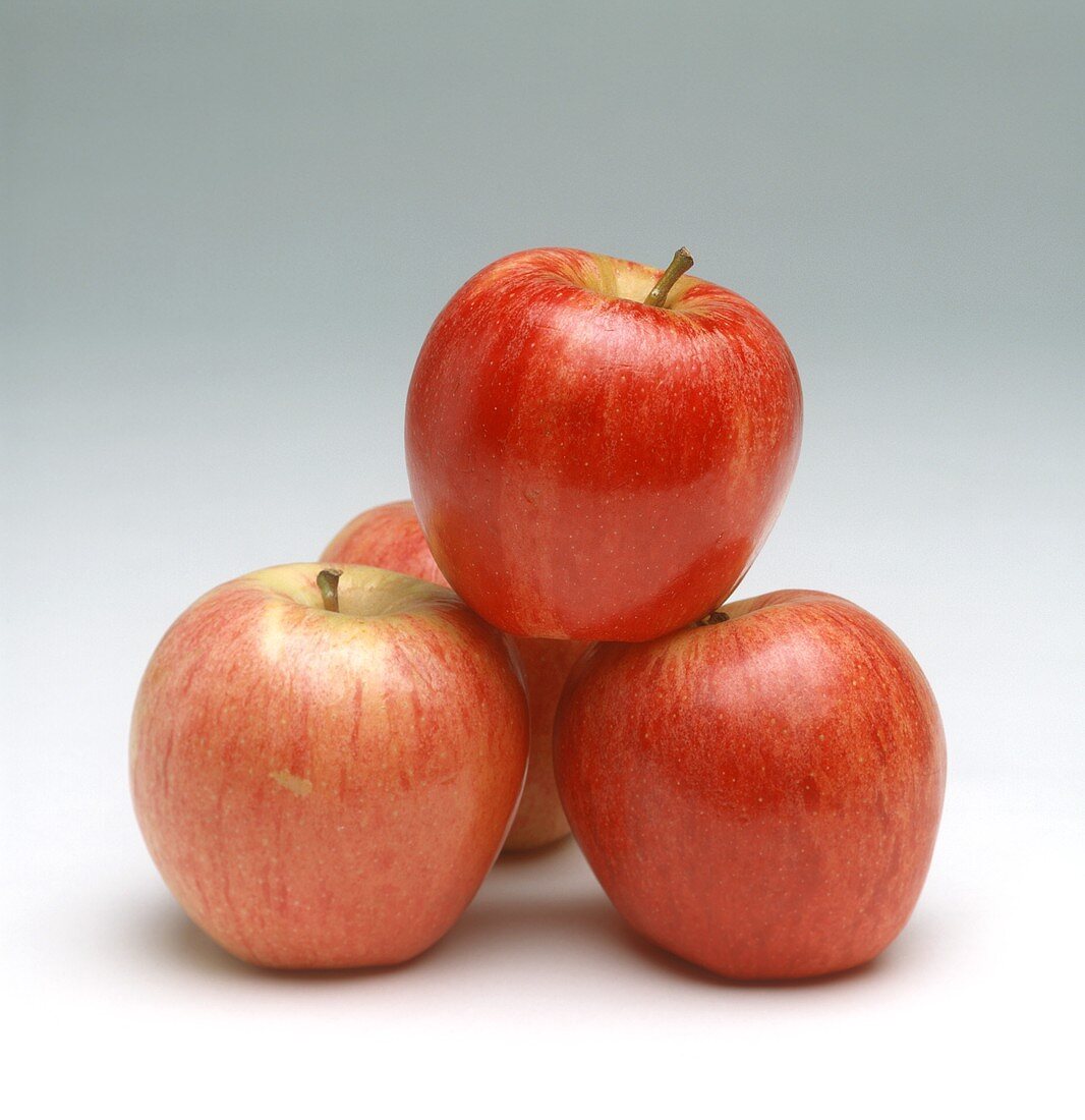 Elstar apples (Malus domestica)