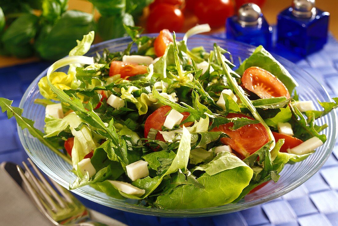 Mixed salad leaves with cheese and tomatoes