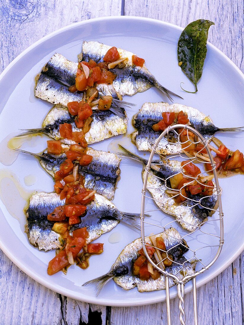 Sardines tièdes aux tomates (Côte d'Azur, Frankreich)