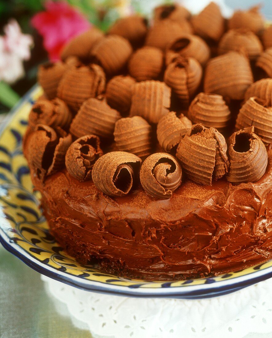 Chocolate cake with crispy chocolate rolls