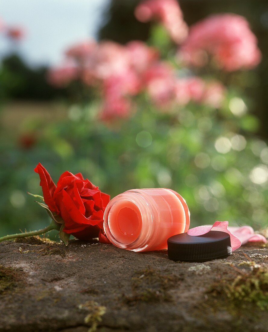 Rosensalbe und eine Rose