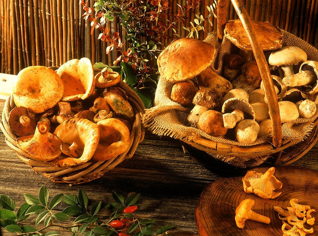 Two baskets of assorted mushrooms