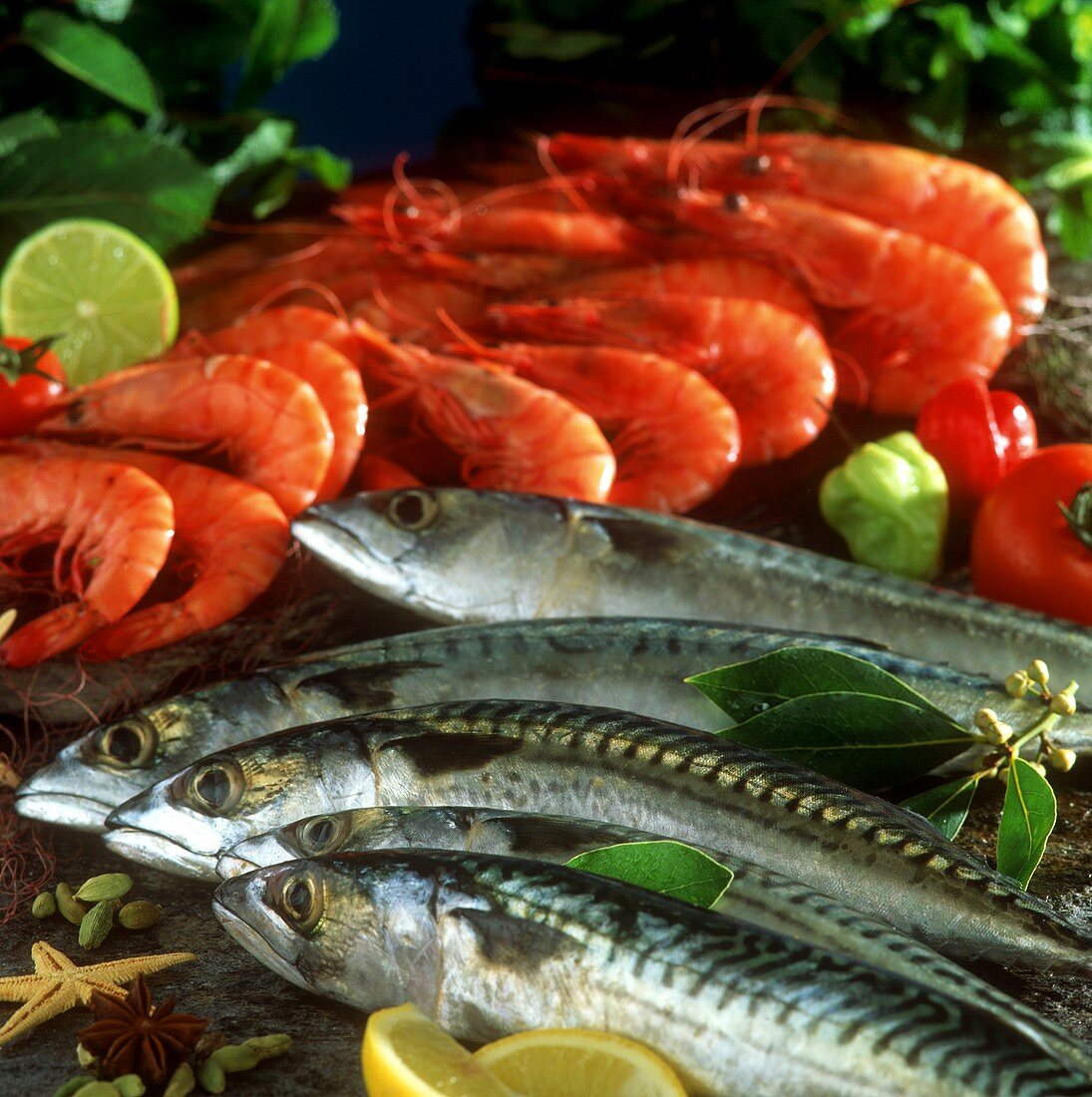 Mackerel and shrimps