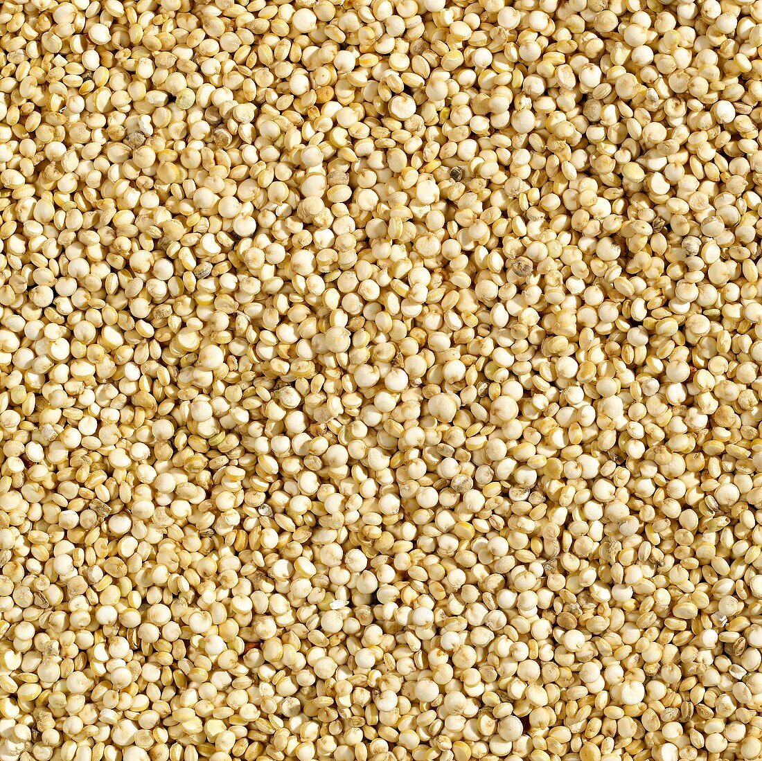 Quinoa, bildfüllend