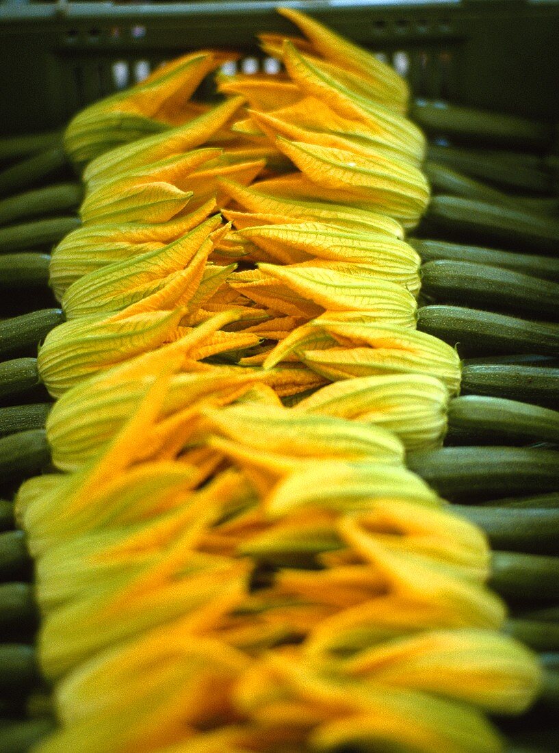Courgette flowers on a market stall