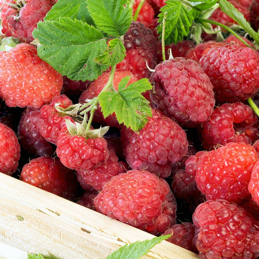 Fresh raspberries in a wooden crate