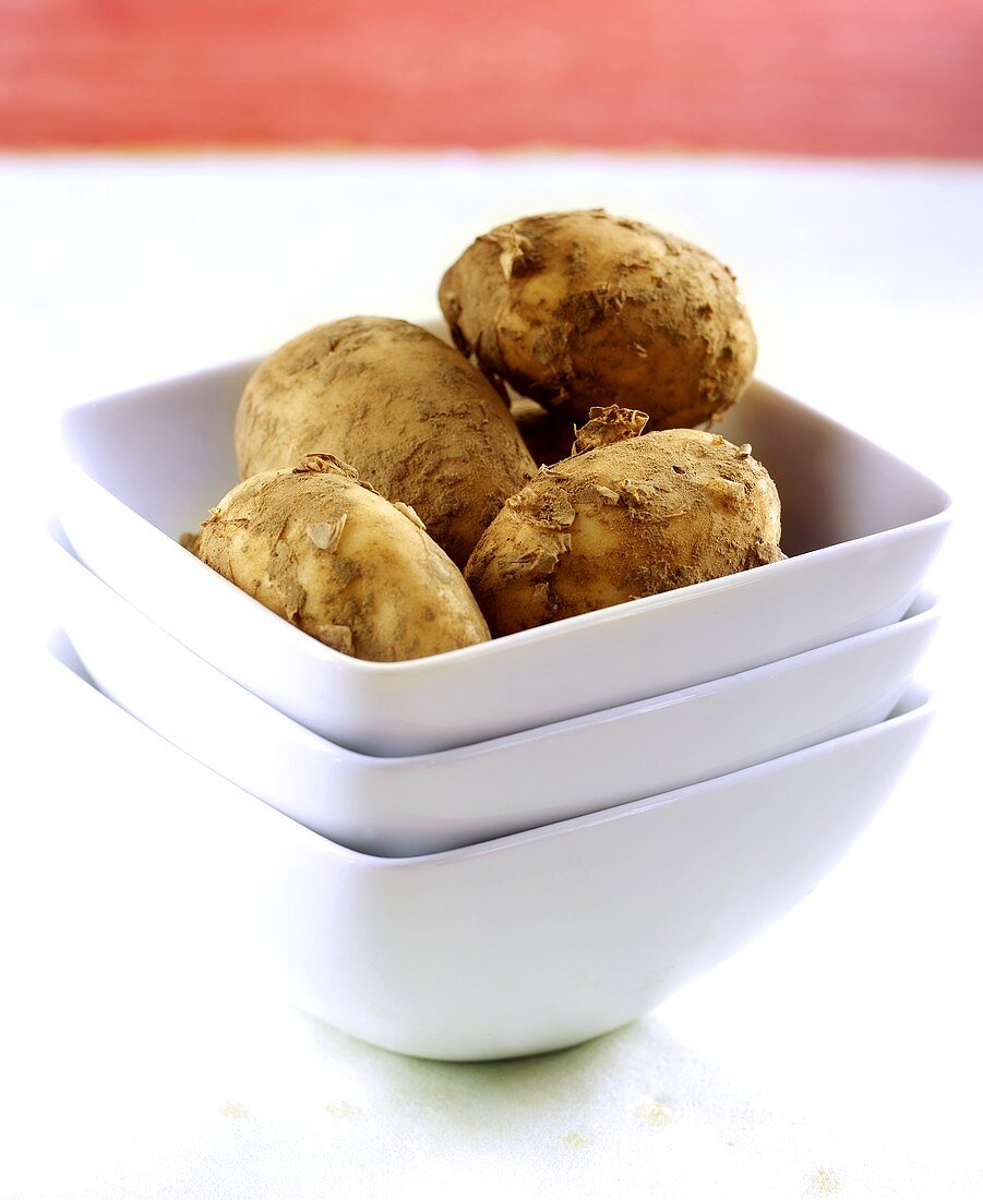 Schälchen mit Frühkartoffeln, Sorte 'Jersey potatoes'
