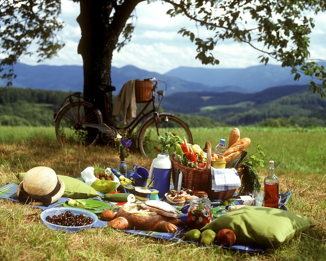 Reichhaltiges Picknick auf einer Wiese