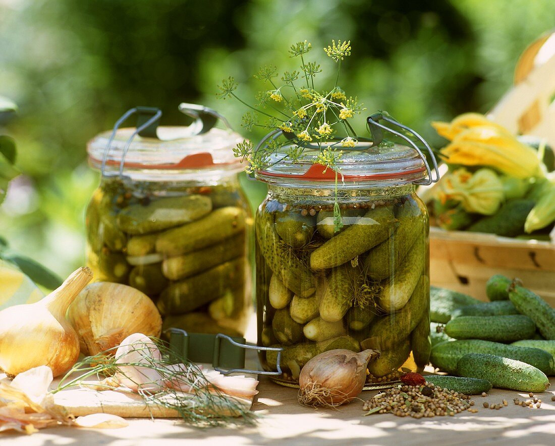 Pickled gherkins in jar