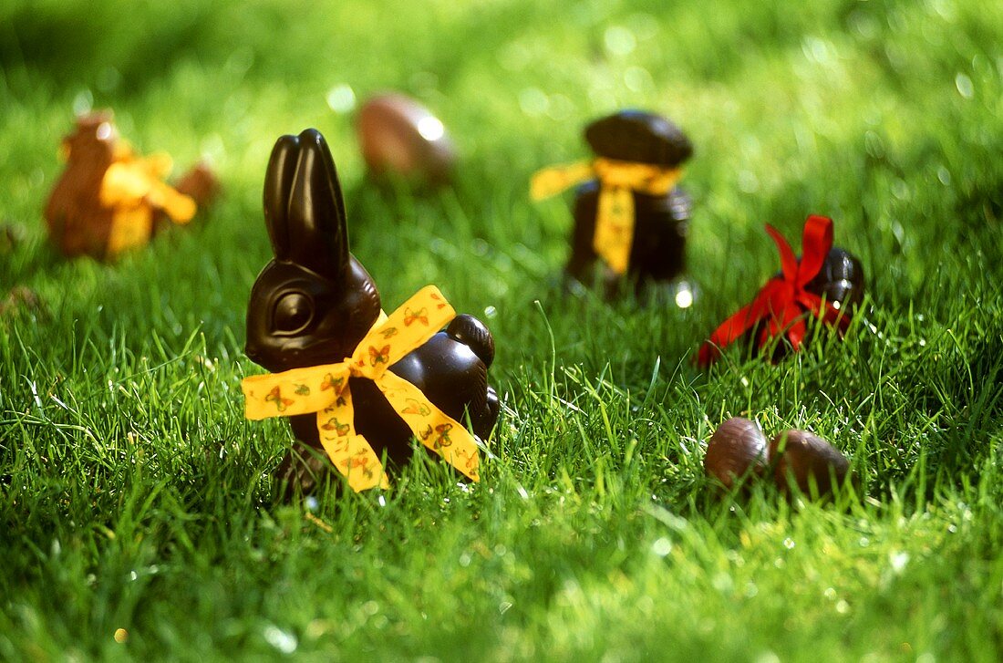 Schokoladenosterhasen und Schokoeier im Gras