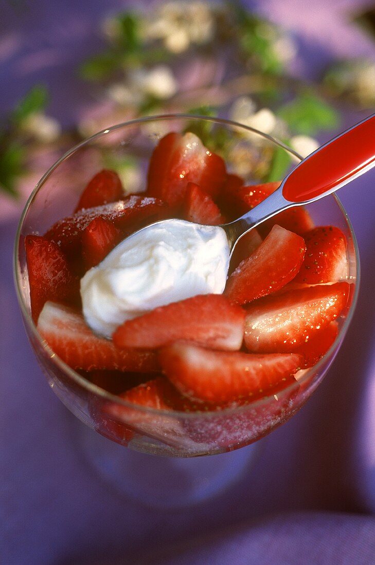 Strawberries with sugar and whipped cream