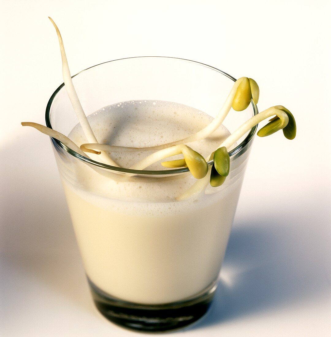 Soya milk in glass with fresh soya sprouts