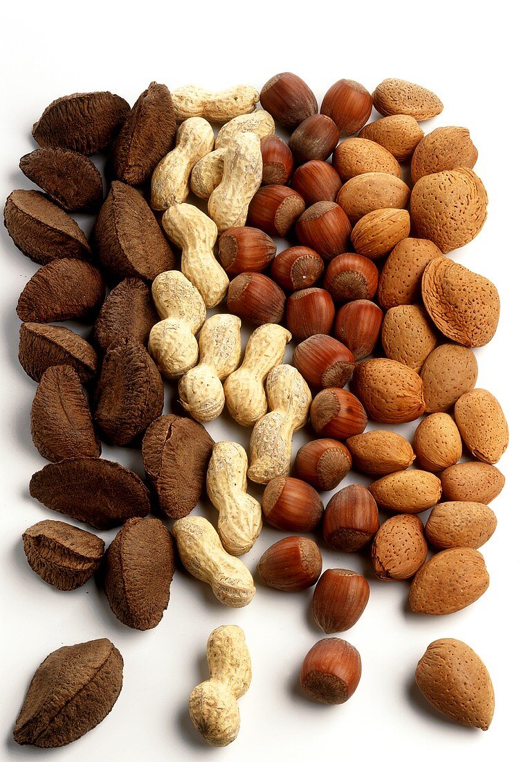 Brazil nuts, peanuts, hazelnuts and almonds
