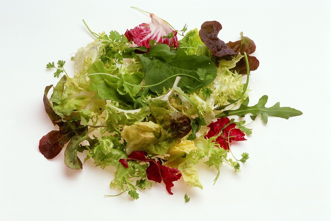 Mischsalat (aus zarten und knackigen Blattsalaten)