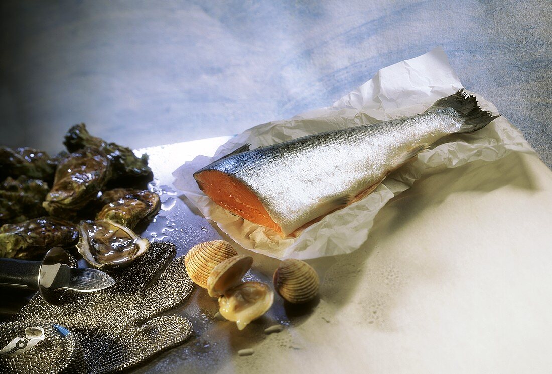 Still life with oysters, oyster glove, mussels and salmon