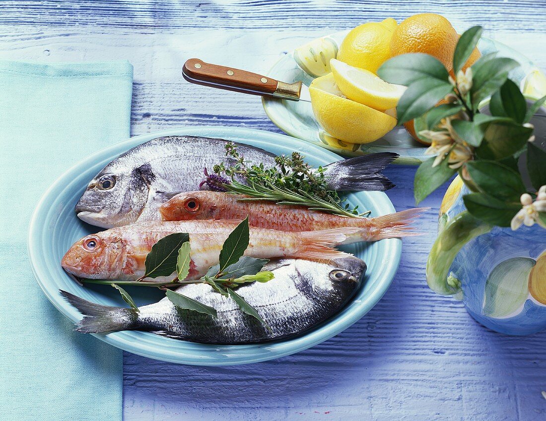 Still life with red mullet, gilthead bream, herbs and lemon