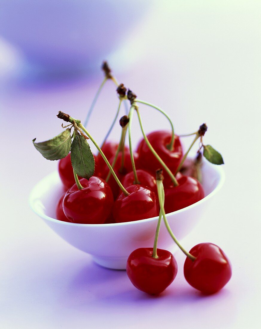 Bowl of sour cherries