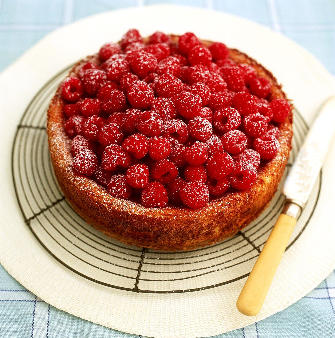 Raspberry flan on cake rack