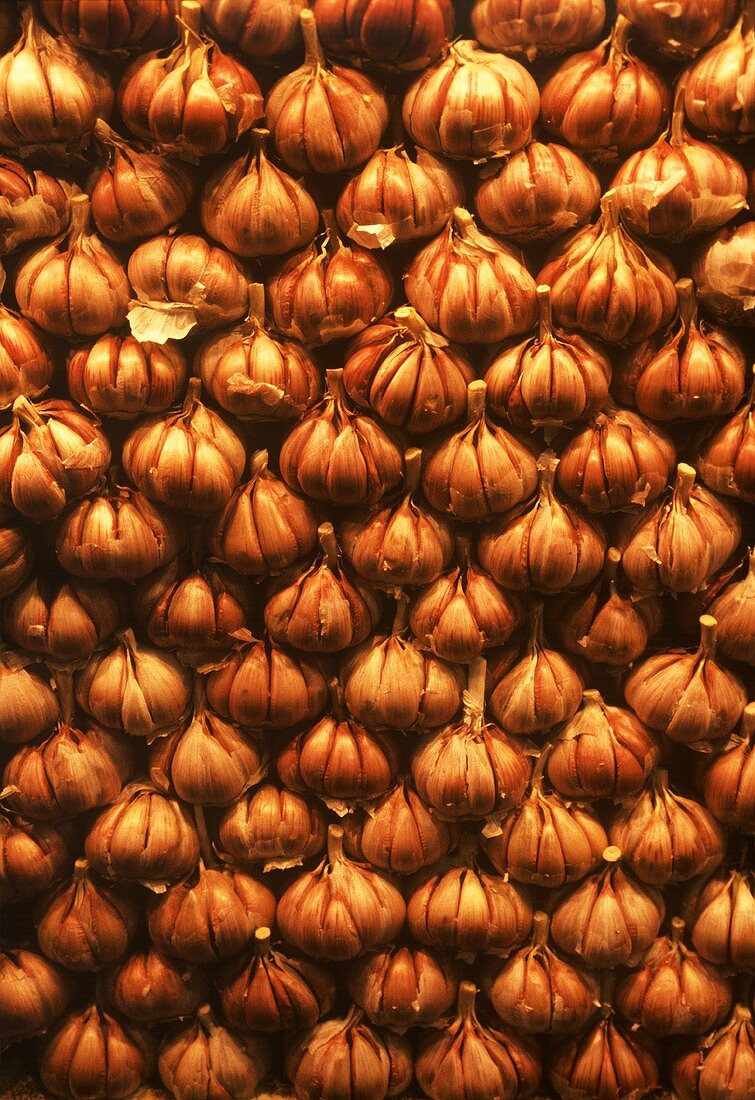 Brown garlic bulbs (filling the picture)