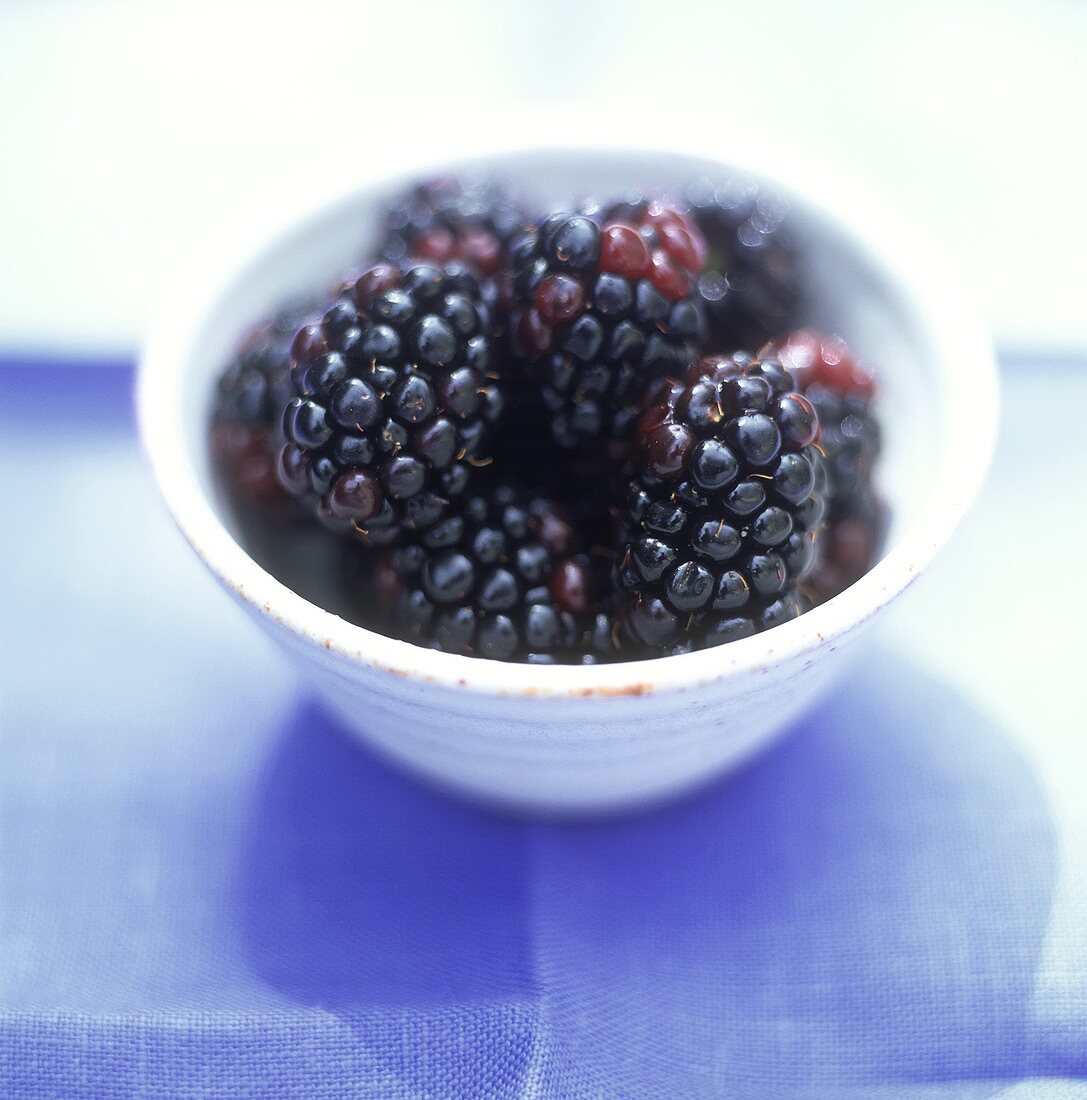 White bowl of blackberries