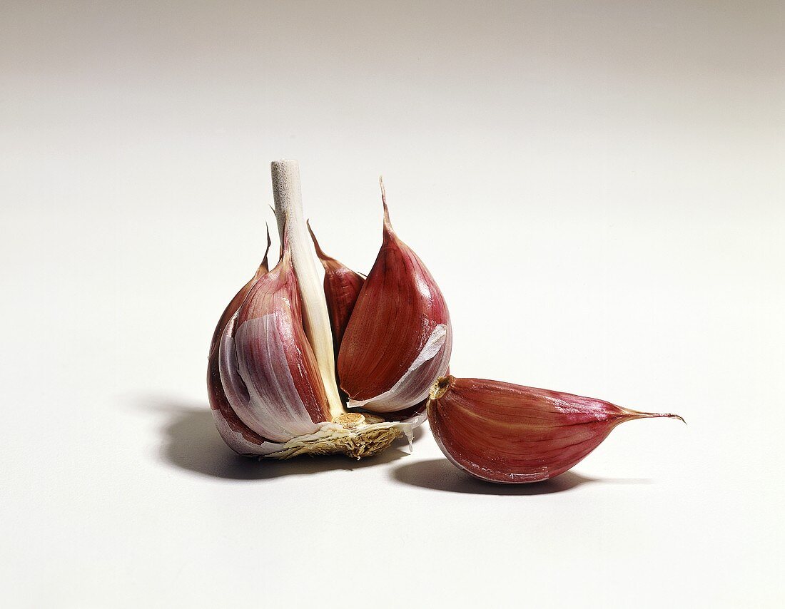 Red garlic cloves (Allium sativum)