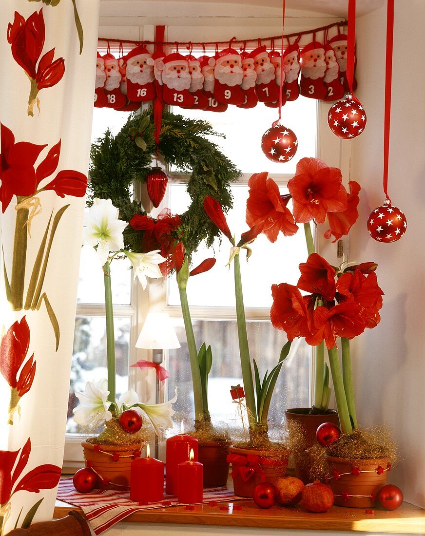 Rot-weiße Weihnachtsfensterdeko mit Pflanzen,Kerzen,Kalender