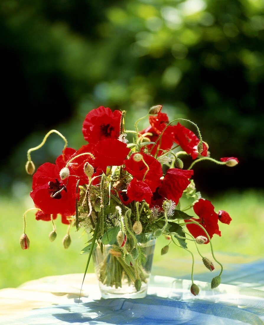 Small bunch of poppies in glass vase
