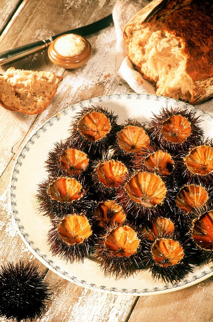 Raw sea urchin (one eats the red flesh on the inside edge)