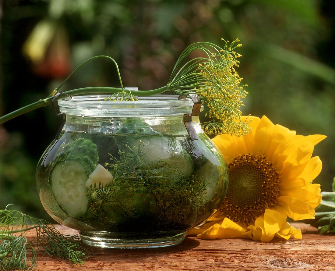 Pickled gherkins in jar, dill flowers, sunflower