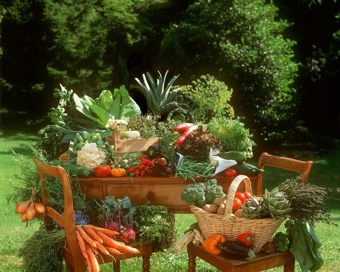 Gemüsestillleben auf Tisch und Stühlen im Garten