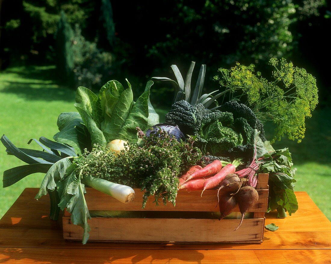 Crate of autumn vegetables on wooden table in open air