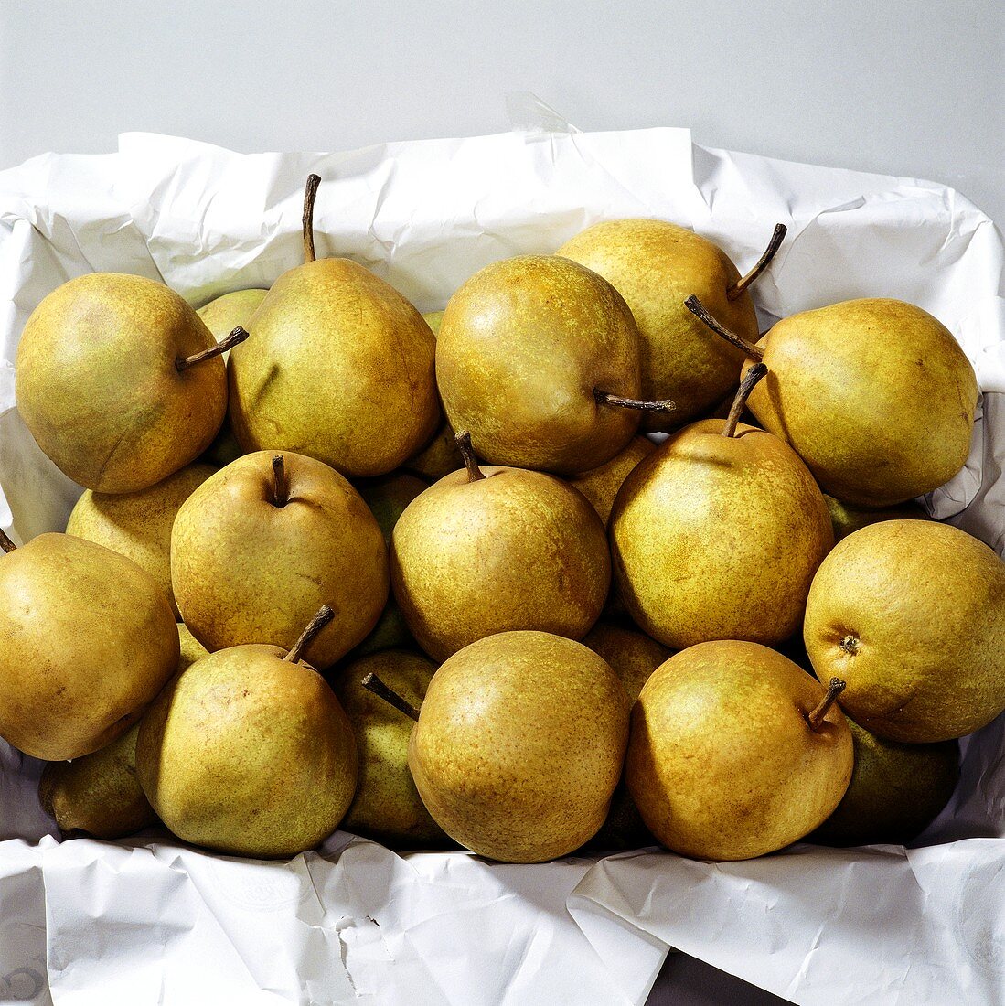 Passe Crassane pears