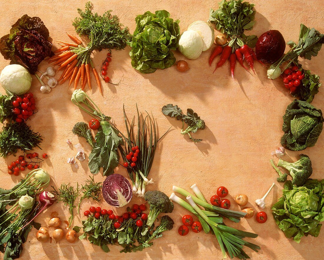 Vegetables laid round edge of picture (with copy space)