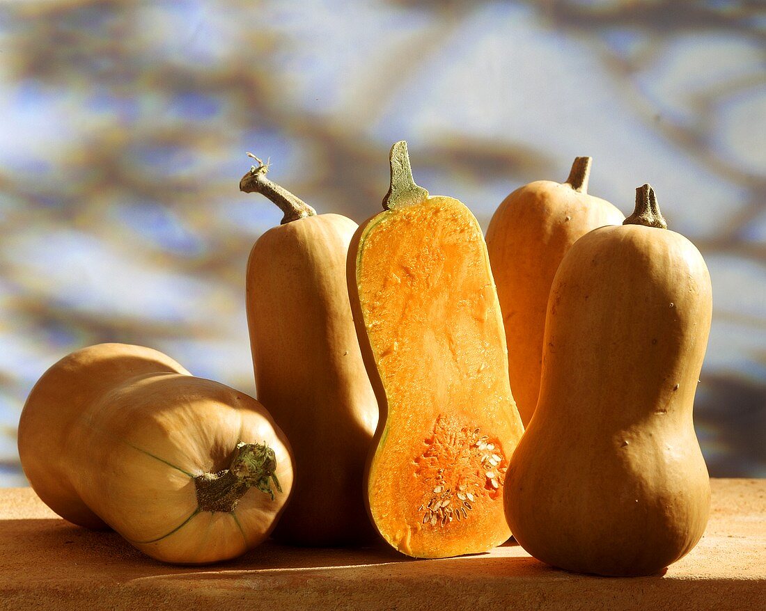 Butternut squashes