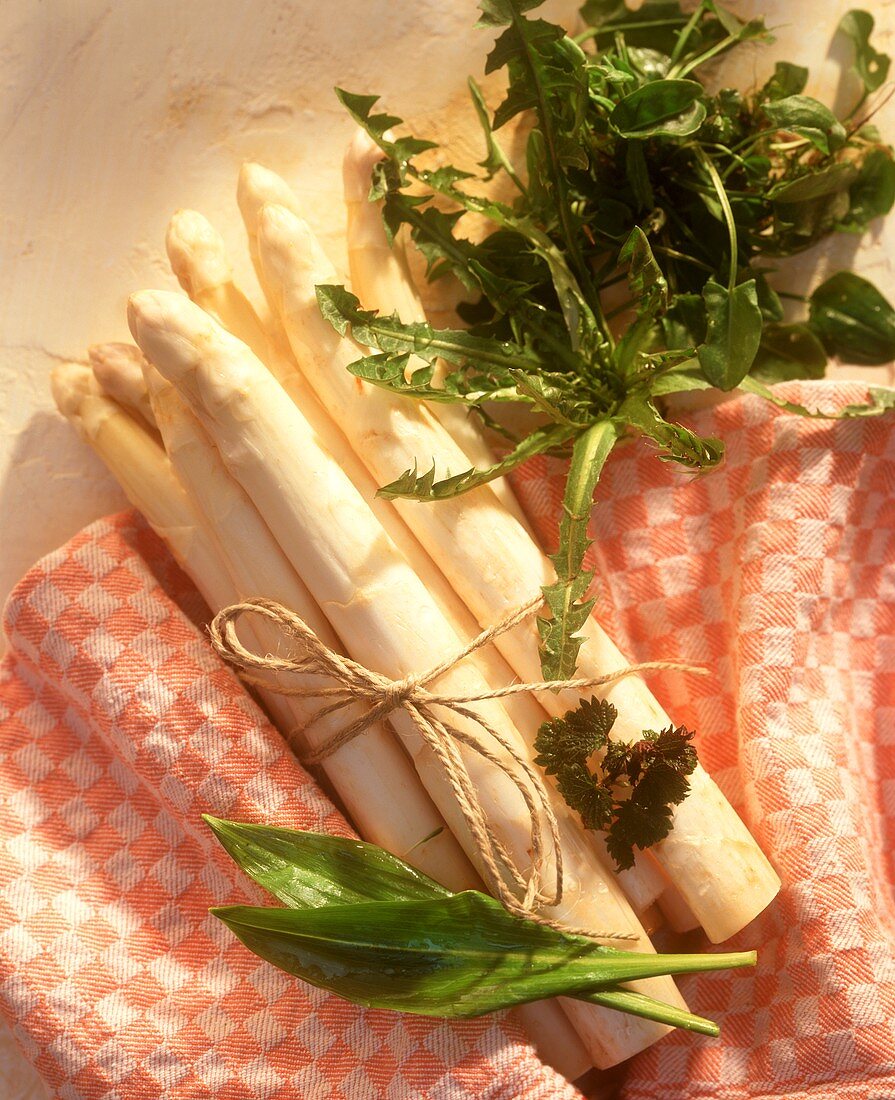 A bundle of asparagus with wild herbs and kitchen cloth