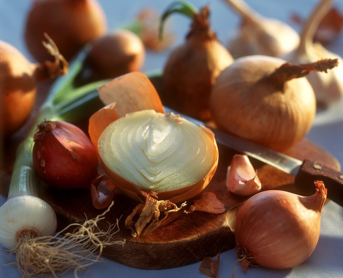 Stillleben mit verschiedenem Zwiebelgemüse