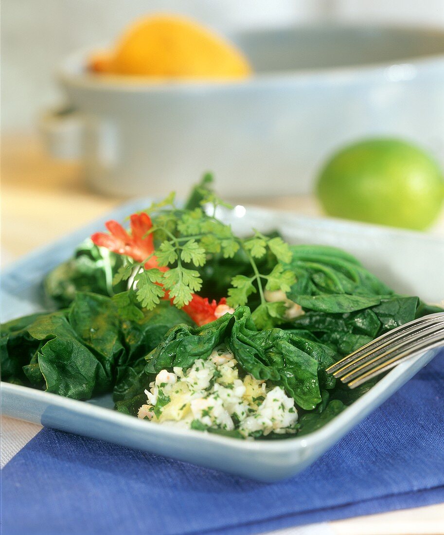 Spinach salad with shrimps