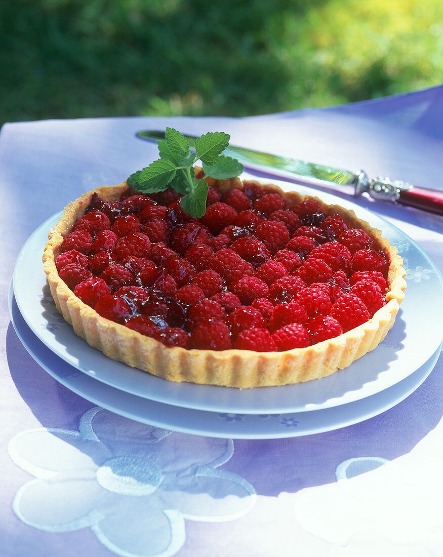 Raspberry tart