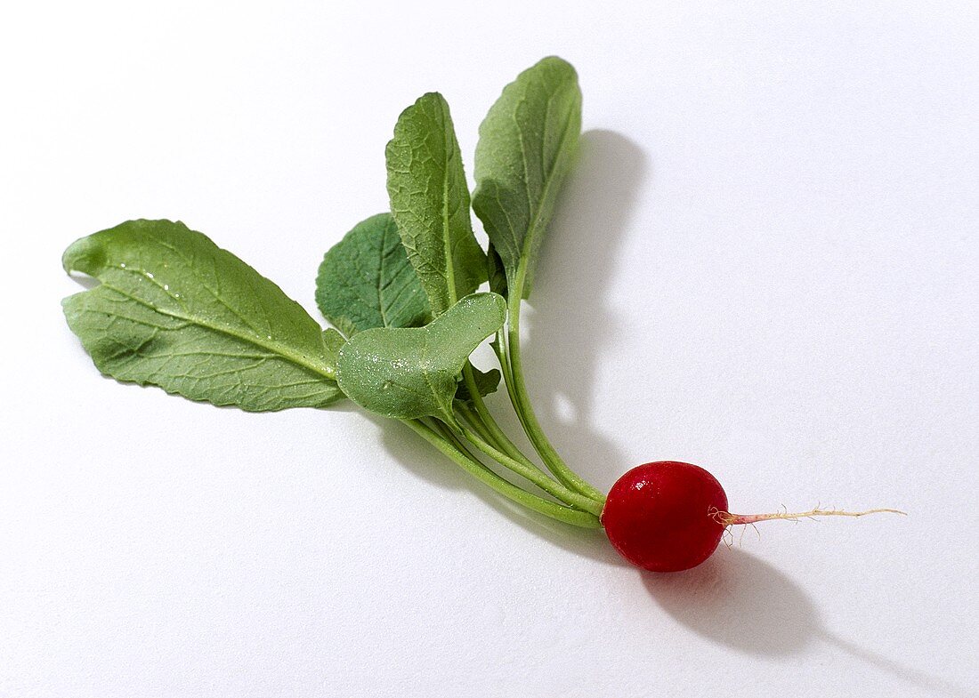 A radish with leaves