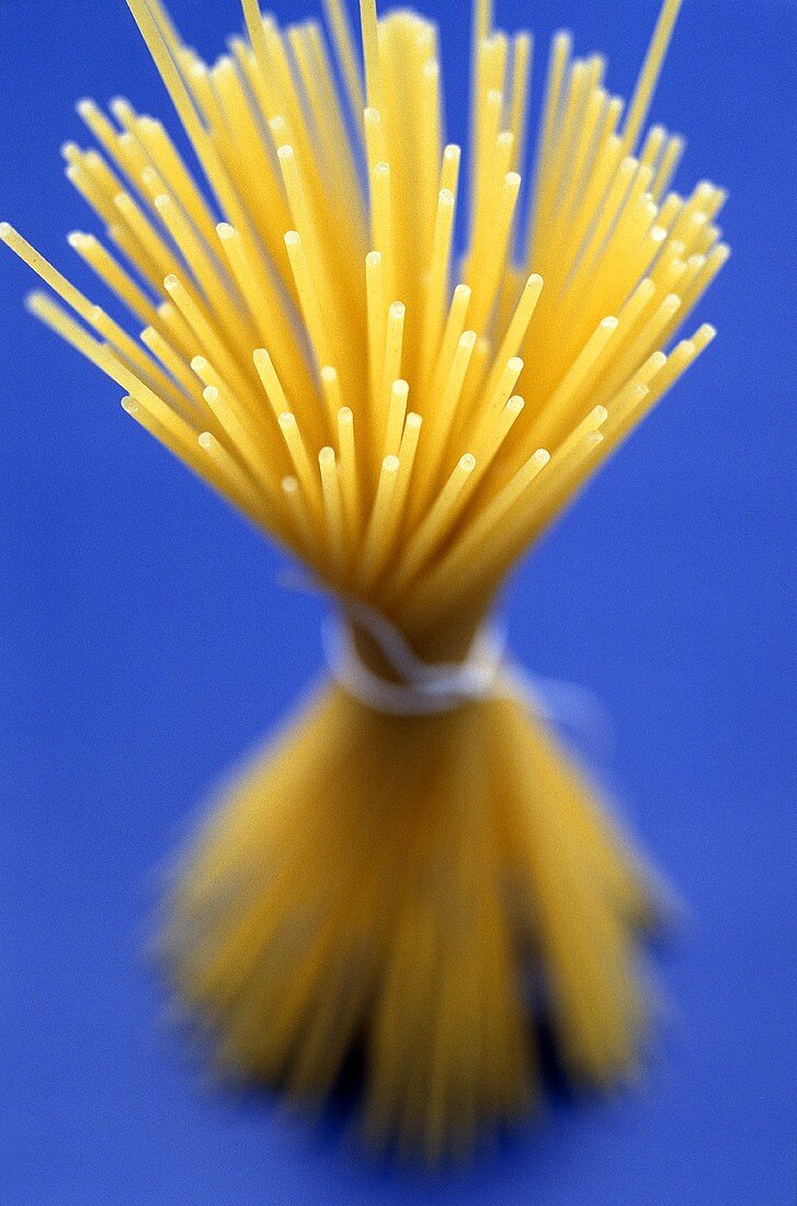 Bundle of spaghetti