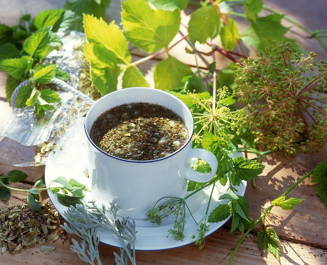 Kräutertee mit verschiedenen frischen Kräutern