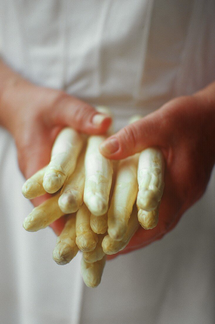 Woman holding asparagus in her hands