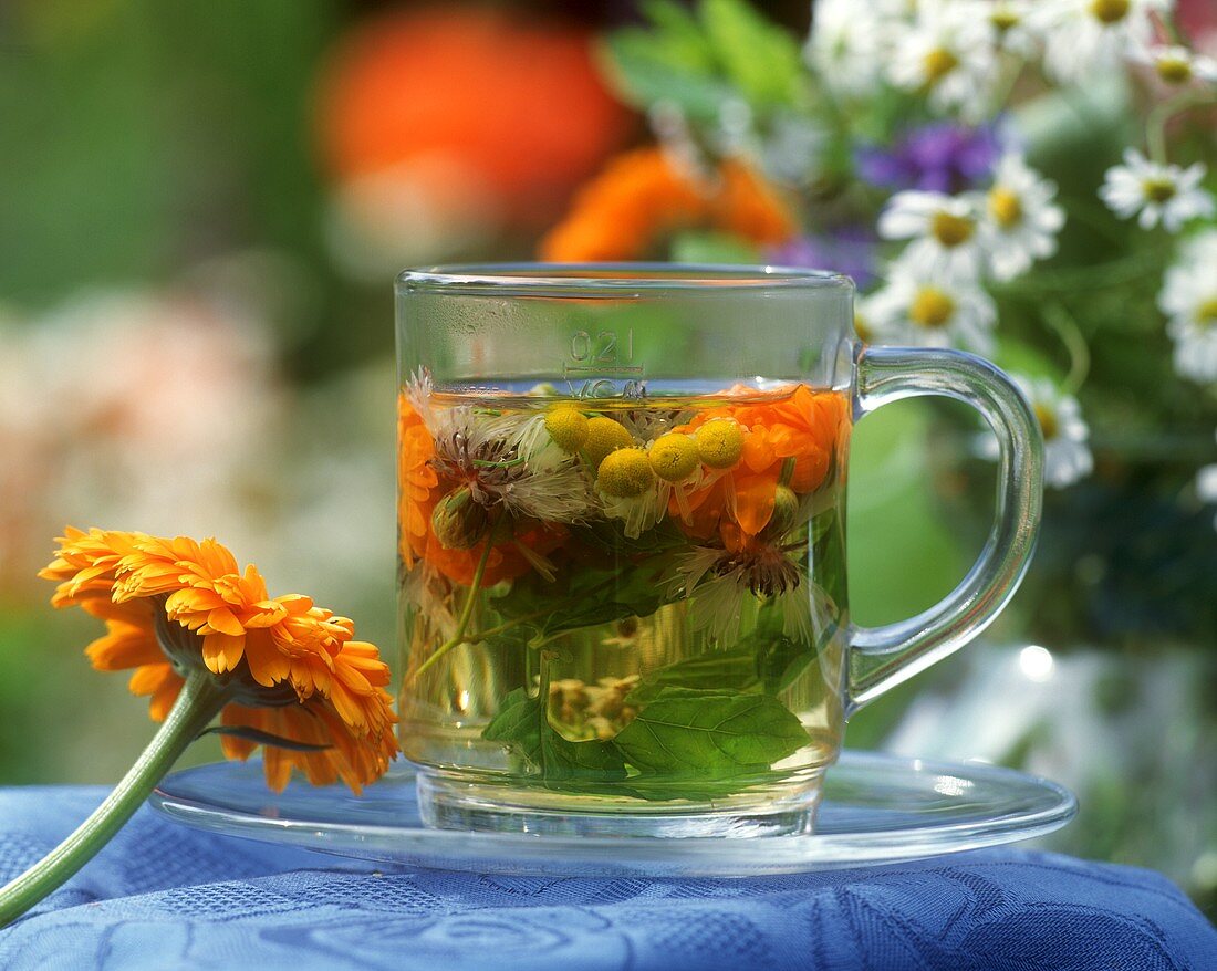 Glass of herb tea made from herbs and flowers