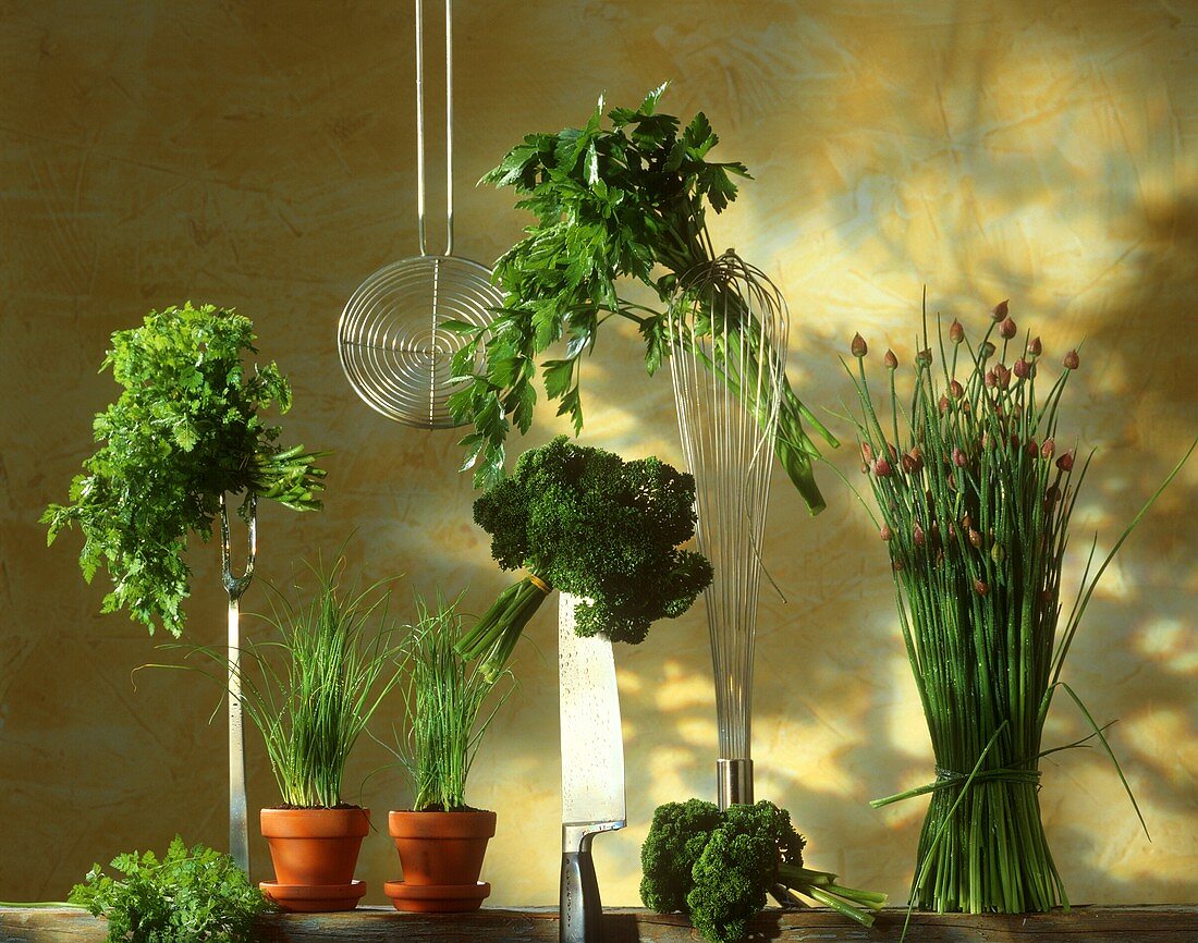 Various herbs with kitchen utensils