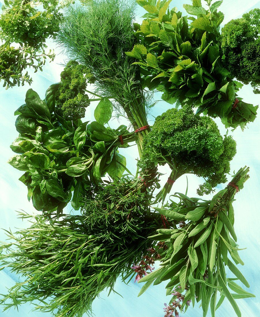 Various herbs on a sheet of glass