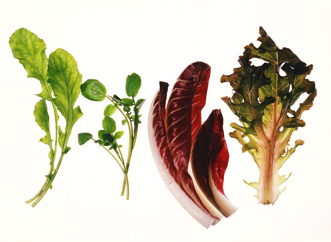Salatblätter: Rucola, Brunnenkresse, Radicchio, Eichblatt